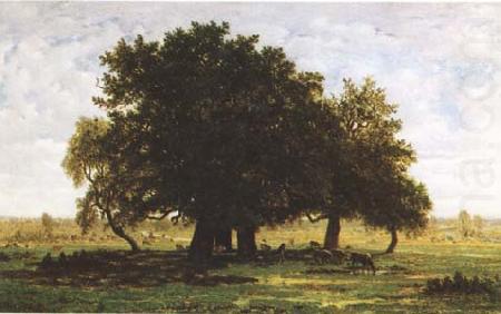 Theodore Rousseau Oak Trees near Apremont (mk09) china oil painting image
